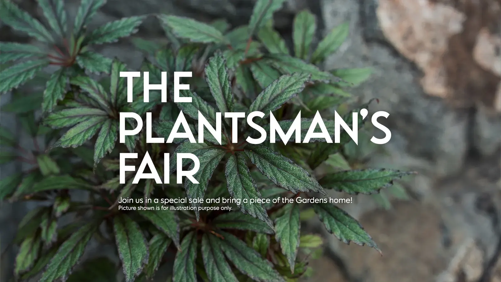Plantsman's Fair