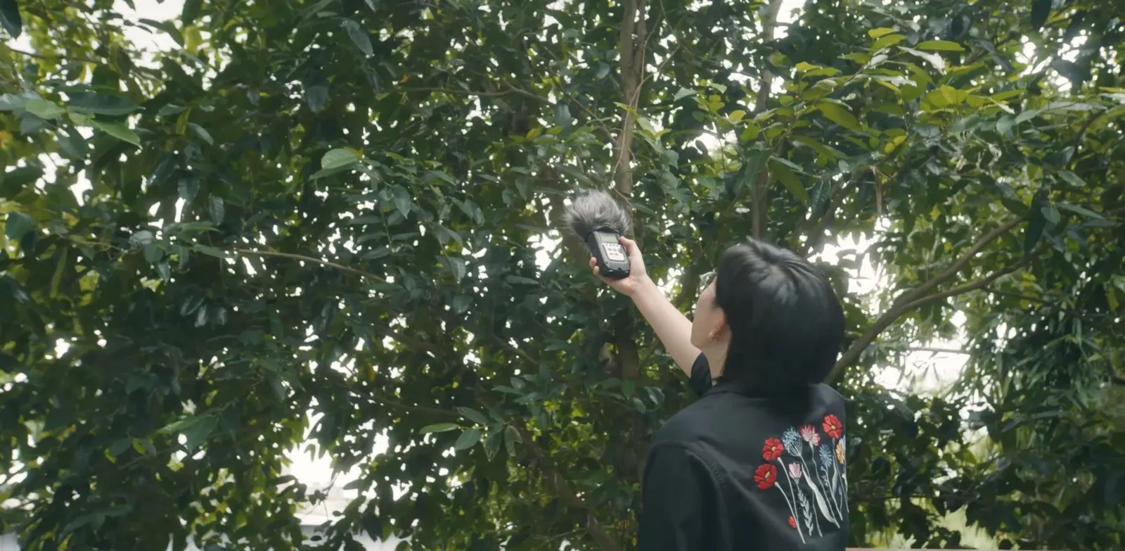 entanglements Programme | Nocturnes: A night-time field recording workshop