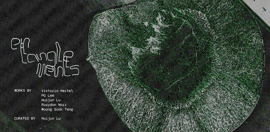 entanglements Programme | Publication Launch and Finissage