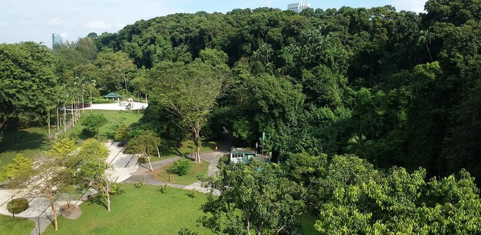 Guided walk at Labrador Park and Nature Reserve