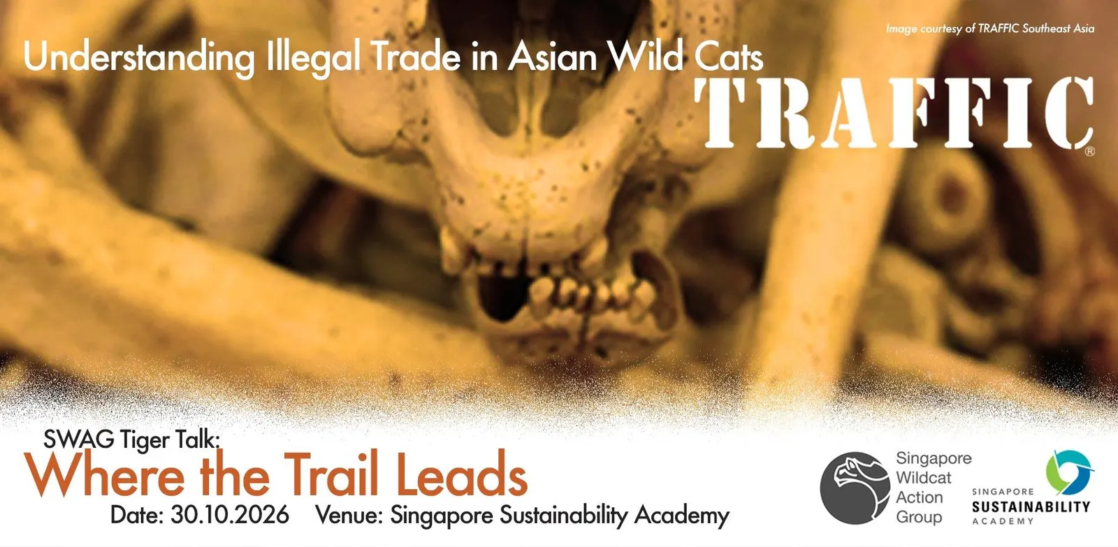 SWAG Tiger Talk: Understanding Illegal Trade in Asian Wild Cats