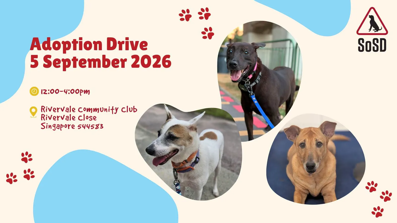 SOSD Adoption Drive