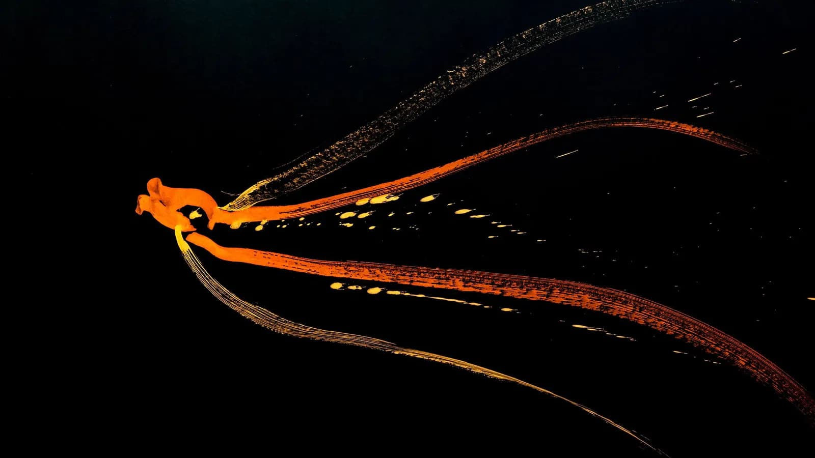 A School of Fireworks
