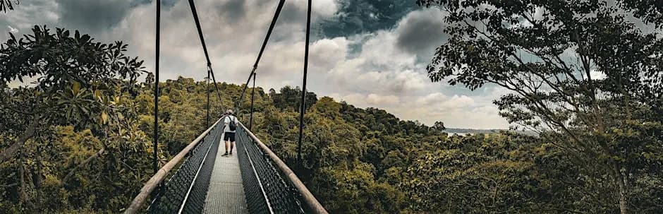 Treetop Hike