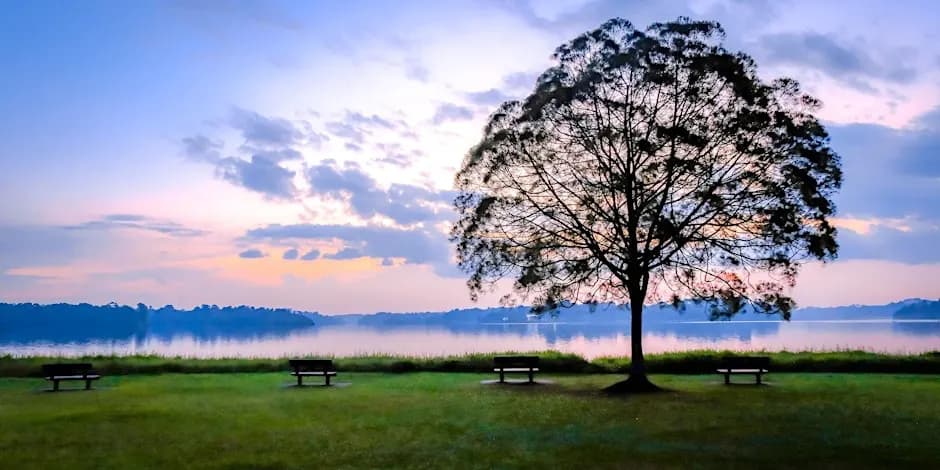 Seletar Reservoirs Walk
