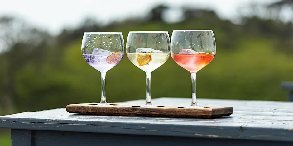 Gin Masterclass