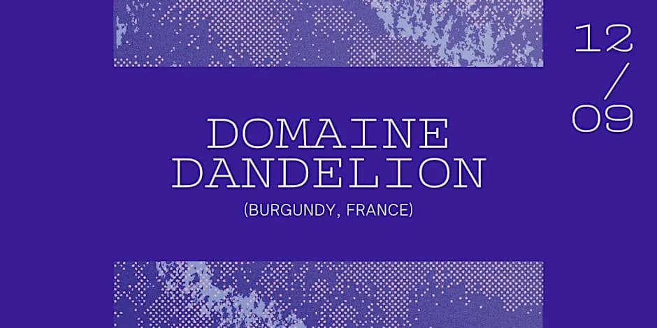 Domaine Dandelion, a little Burgundy secret