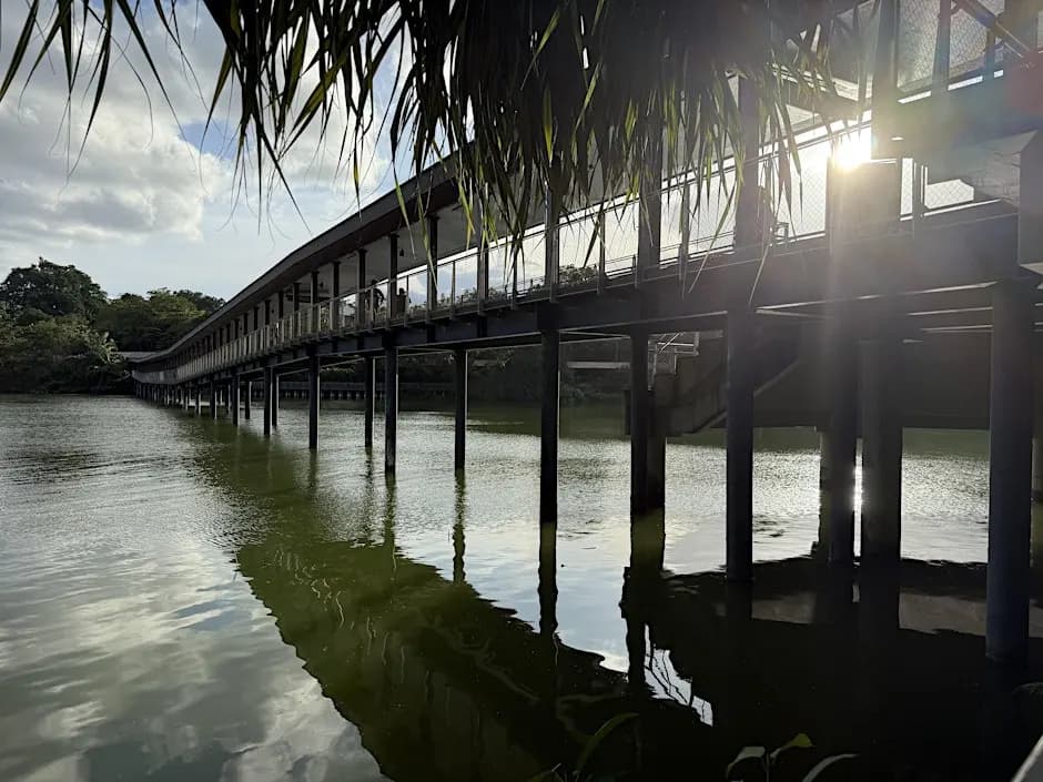 Leisure Walk: Mandai Broadwalk