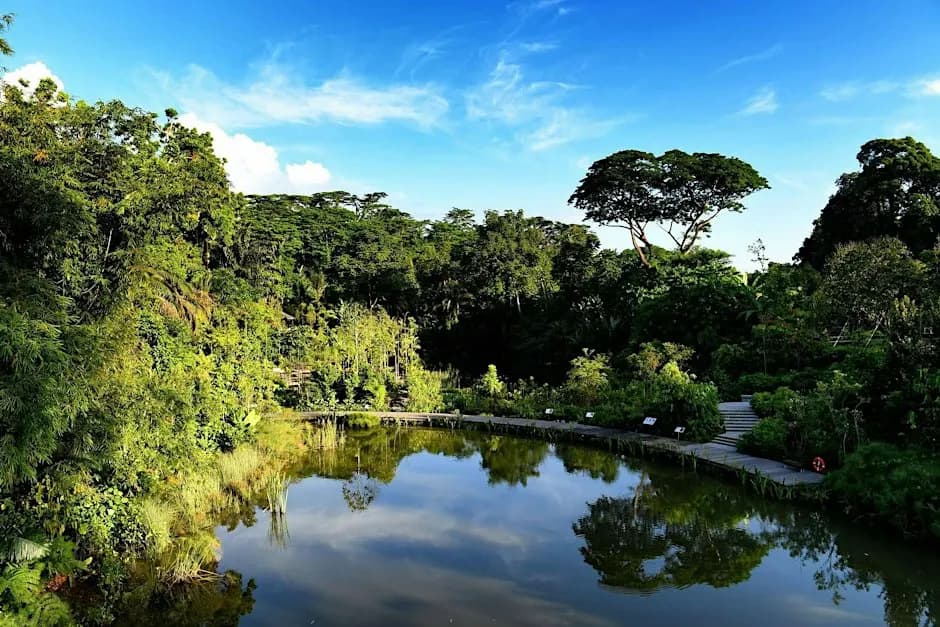 Forest Walk at the Singapore Botanic Gardens