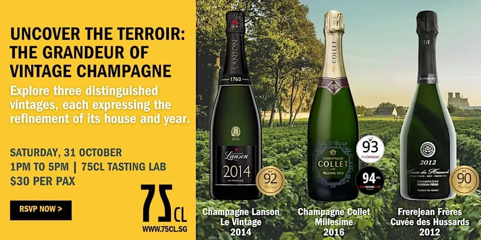 Uncover the Terroir: The Grandeur of Vintage Champagne