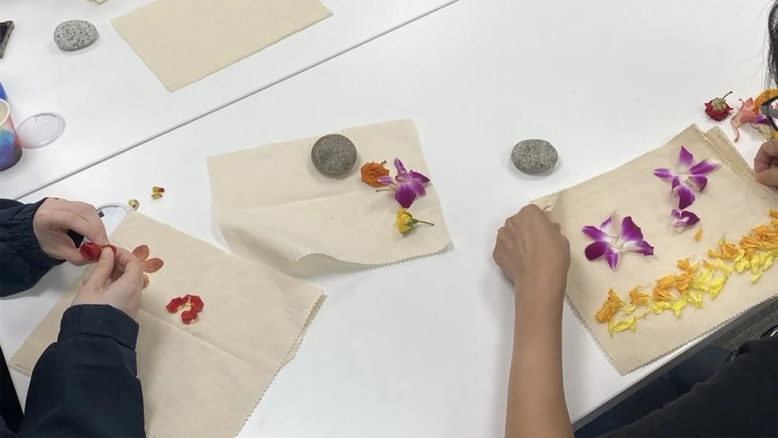 Making Colours with Flowers and Leaves by Singapore Association for Mental Health