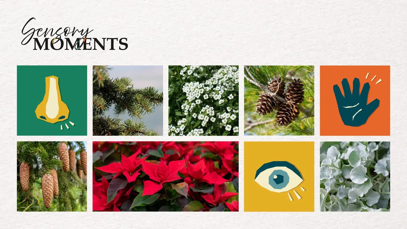 Sensory Moments - Christmas Train Show