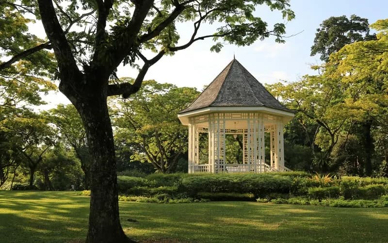 Beneath the Canopy: A Literary Trail Through Singapore Botanic Gardens with Esther Vincent