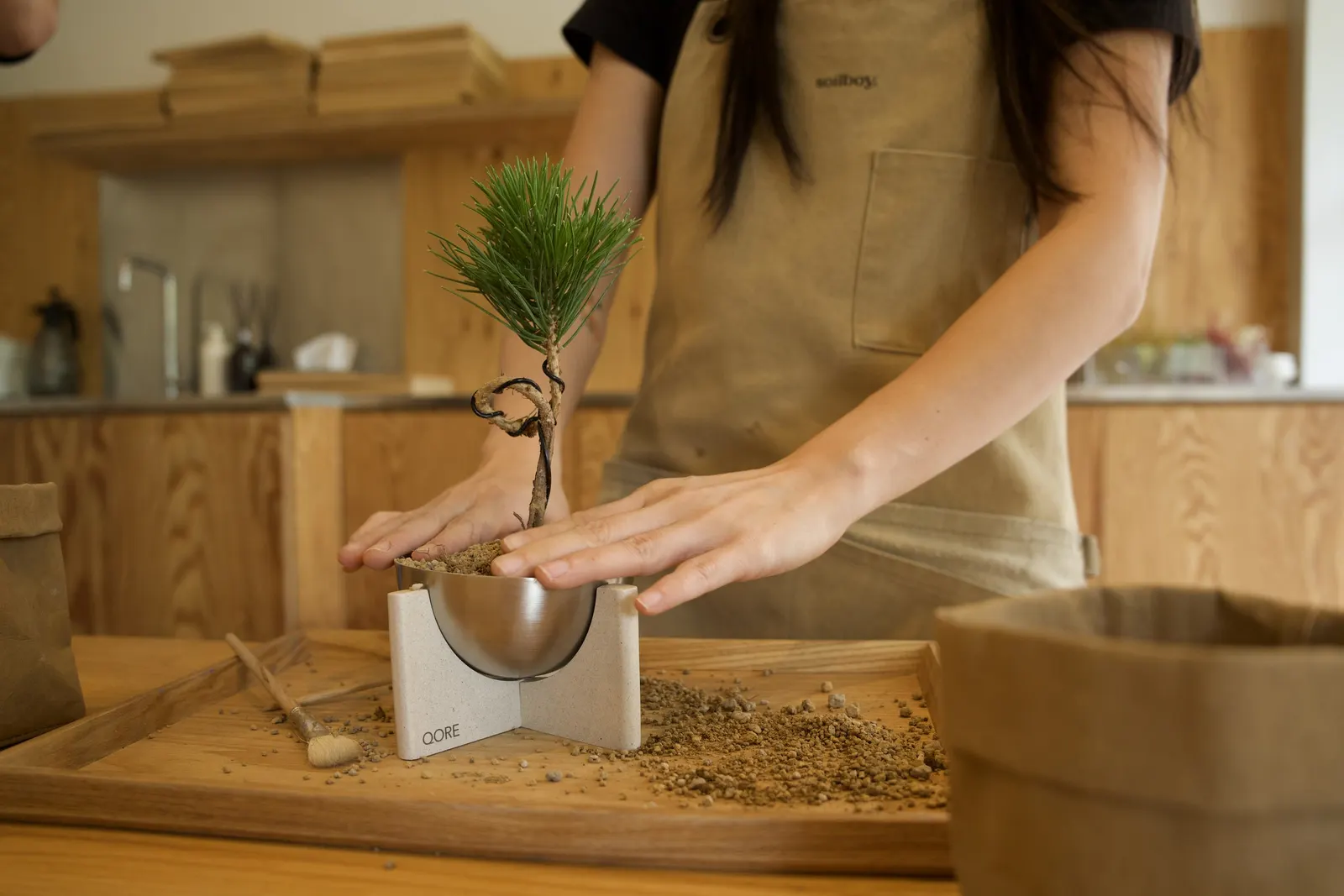 Repotting a pine into a coffee-waste planter at the Coffee & Plant Care Workshop